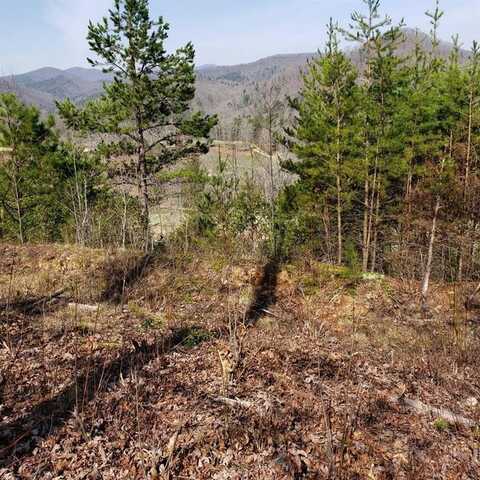 0 Bent Grass Way, Clayton, GA 30525