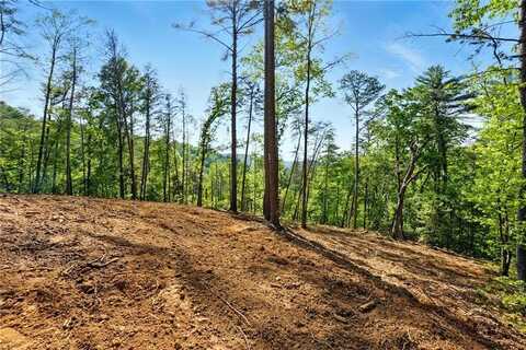 0 Dell Moore Road, Marble Hill, GA 30148