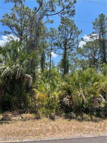 20 FITCH Avenue, Lee, FL 33936