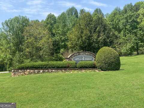 133 Lakeview, Baldwin, GA 30511