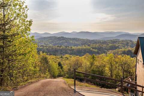0 Mountain Lion, Sautee Nacoochee, GA 30571