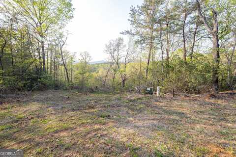 0 Mountain Lion, Sautee Nacoochee, GA 30571