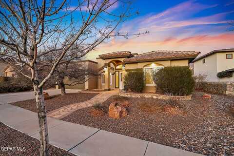 1513 Cidra Del Sol Drive, El Paso, TX 79911