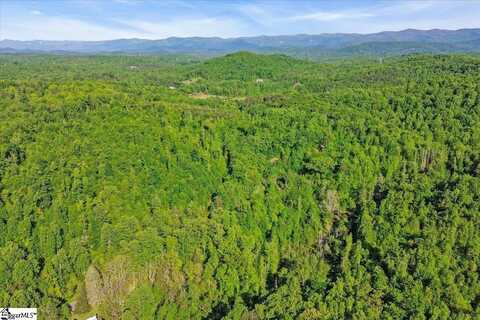 00 Burns Road, Travelers Rest, SC 29690