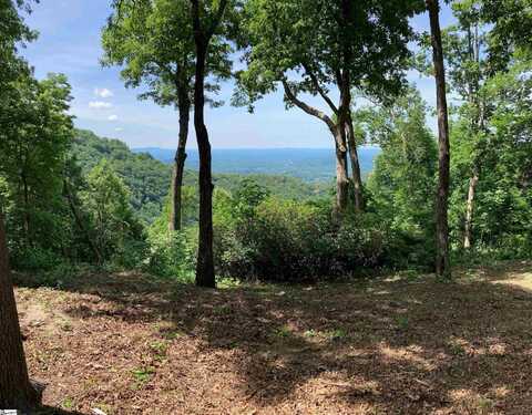 1399 Mountain Summit Road, Travelers Rest, SC 29690