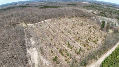Erwin Road, Copemish, MI 49625