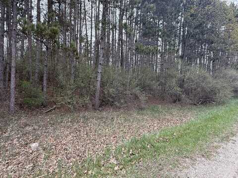 1115 El Camino Grande, Isabella, MI 48893