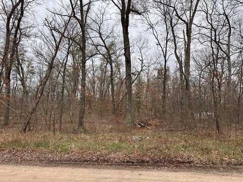 V/L W Lakewood Grove Drive, Baldwin, MI 49304