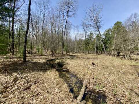 9.75 Acres Snyder Rd, Wellston, MI 49689