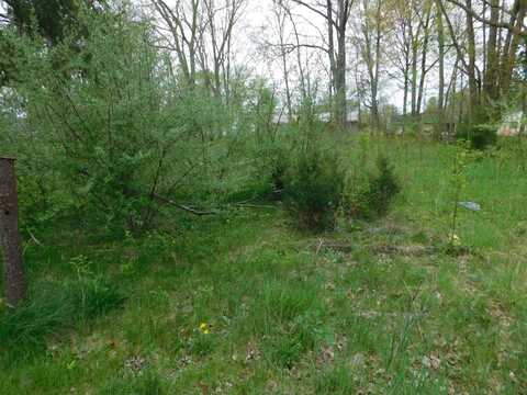 627 E E ST Joseph Street, Paw Paw, MI 49079
