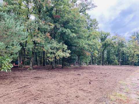 V-land S Eagle Lane, Newaygo, MI 49337
