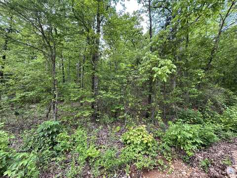 000 River Trace Lane, Hardy, AR 72542