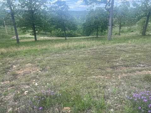 000 Farm Rd 2250, Golden, MO 65658