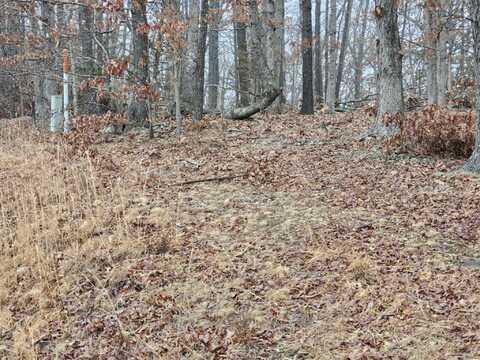 Tbd Highway E, Hartville, MO 65667