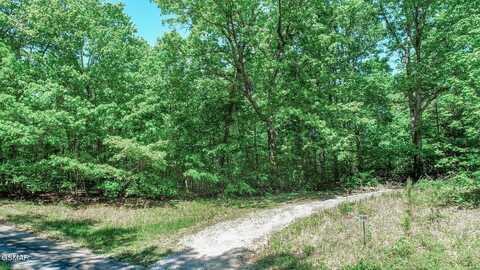 Par 87.03 Overview Way, Newport, TN 37821