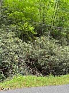 000 BUTLER BRANCH Road, Pittman Center, TN 37738
