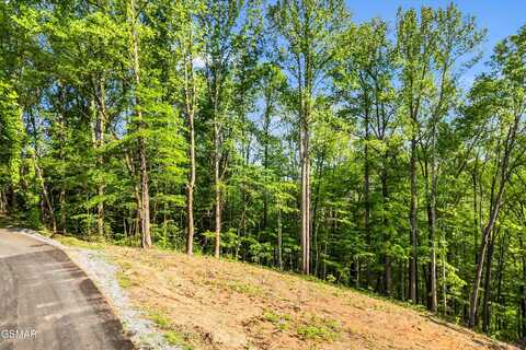 Lot 27 Sugar Maple Loop Road, Sevierville, TN 37862