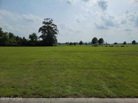 111 /113 Majestic Circle, Merry Hill, NC 27957