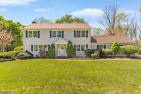 32 Platz Dr, Montgomery Twp., NJ 08558