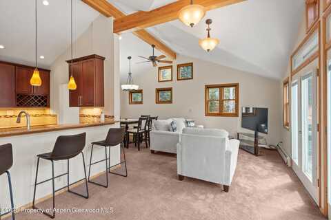 536 Spruce Street, Aspen, CO 81611