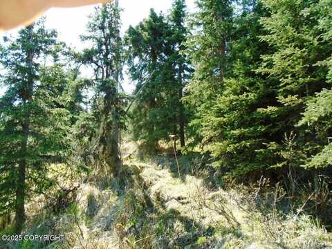 Lot 3 West River Drive, Eagle River, AK 99577