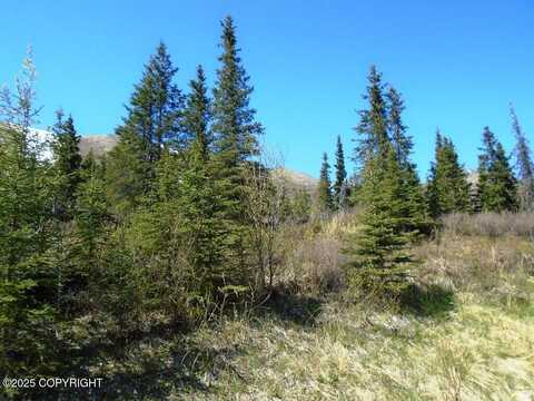 Lot 2 West River Drive, Eagle River, AK 99577