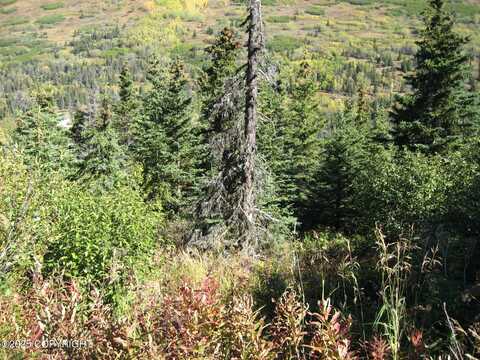 Lot 2 West River Drive, Eagle River, AK 99577