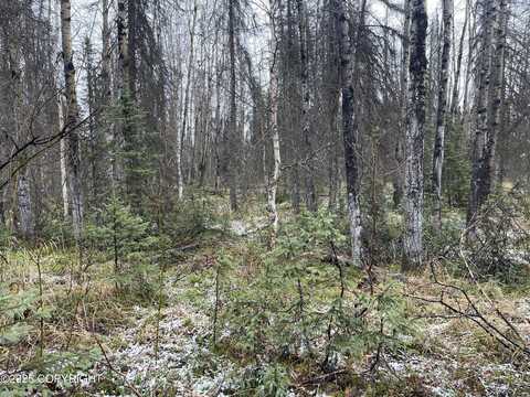 19772 E Montana Creek Road, Talkeetna, AK 99676