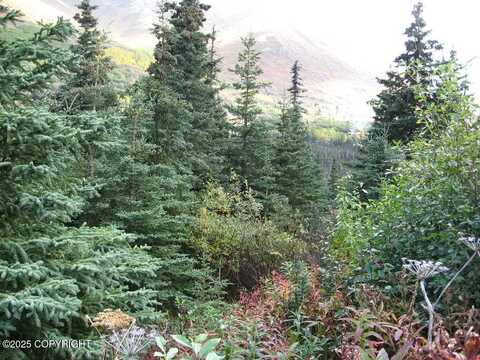 L1 West River Drive, Eagle River, AK 99577