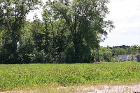 TBD Gatlinburg Road, Bullard, TX 75757