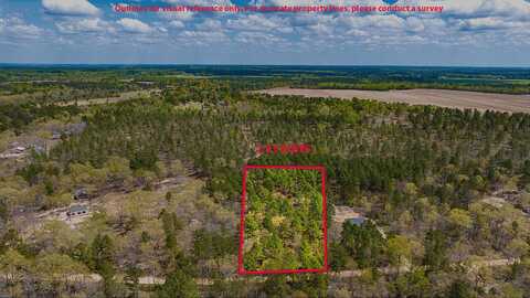 Lot 4 Bluffwood Road, Wagener, SC 29164