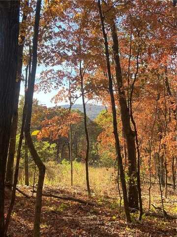 18018 WC 118 Stout Mountain RD, Fayetteville, AR 72701