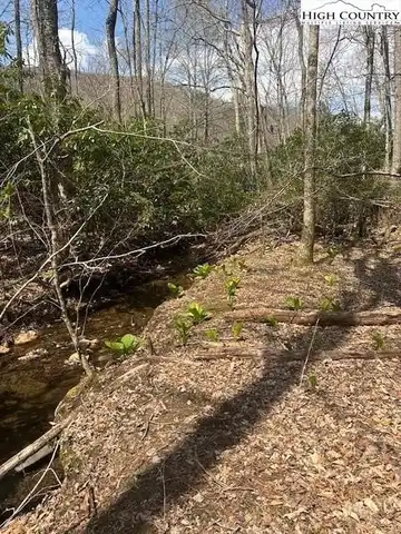 Tbd Bald Mountain Road, West Jefferson, NC 28694