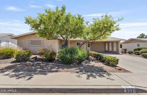 6631 E DALLAS Street, Mesa, AZ 85205