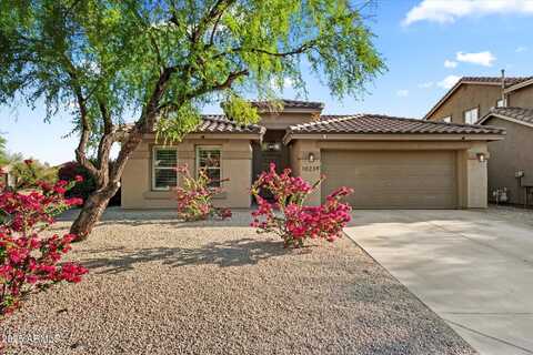 10239 E Salt Bush Drive, Scottsdale, AZ 85255