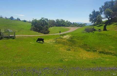 6998 Geysers Road, Geyserville, CA 95441