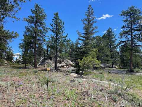 3020 Lake Arapahoe Ct, Red Feather Lakes, CO 80545