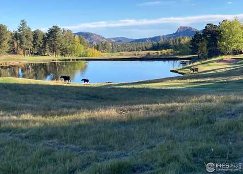 3020 Lake Arapahoe Ct, Red Feather Lakes, CO 80545