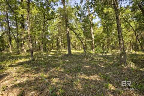 0 Cary Lane, Fairhope, AL 36532