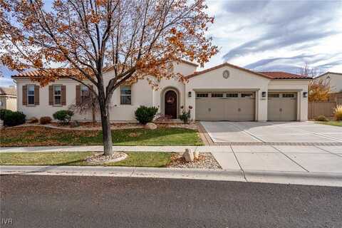 13490 Damonte View Lane, Town out of Area, NV 89511