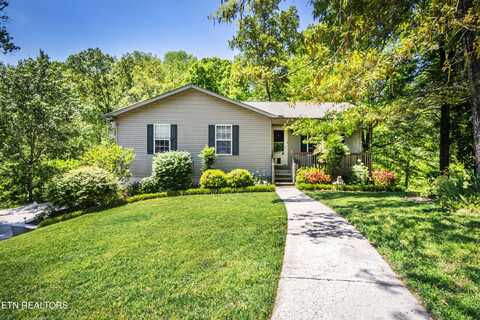 117 Pine Hill Rd, Heiskell, TN 37754