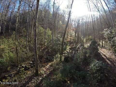 303 Chestnut Valley Lane, Vonore, TN 37885