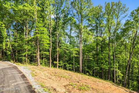 Lot 27 Sugar Maple Loop Rd, Sevierville, TN 37862