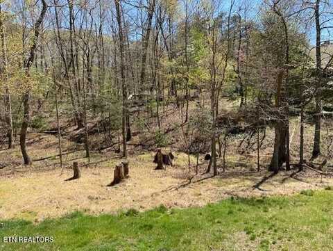 Mariners Point, Fairfield Glade, TN 38558