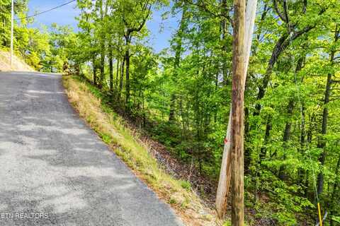 Lot 1 Hatcher Top Rd, Sevierville, TN 37862