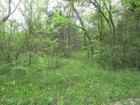 Silent Lane, Rutledge, TN 37861