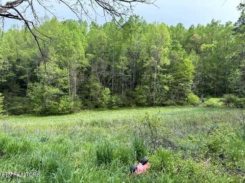 454 Atkins Rd, New Tazewell, TN 37825