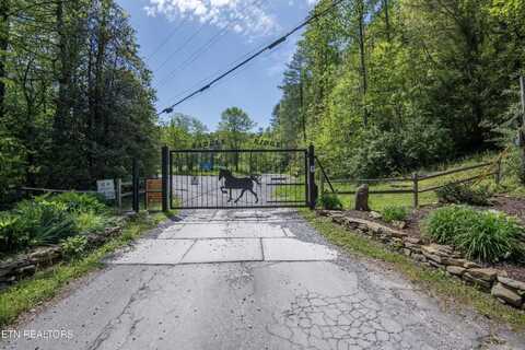 1820 Oakwood Road Rd, Walland, TN 37886