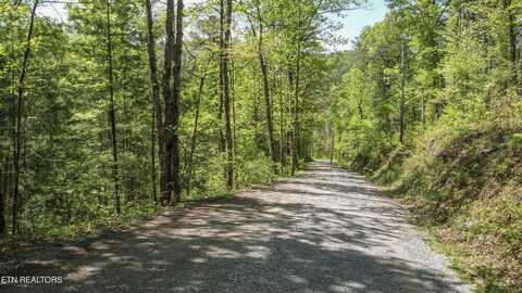 1820 Oakwood Road Rd, Walland, TN 37886