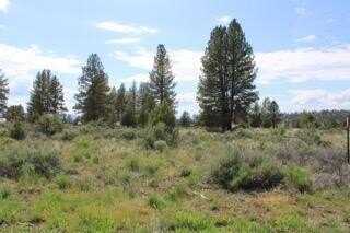 Deer Springs Road, Beatty, OR 97621